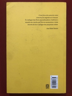 Livro - Os Da Minha Rua - Ondjaki - Editora Pallas - comprar online