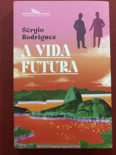 Livro - A Vida Futura - Sérgio Rodrigues - Editora Companhia Das Letras - Seminovo