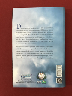 Livro - O Céu Pode Esperar - Vera Lúcia Marinzeck - Seminovo - comprar online