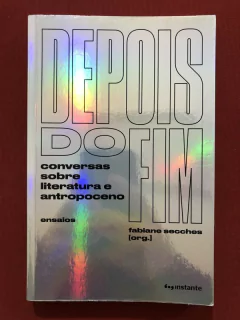 Livro - Depois Do Fim - Fabiane Secches - Ed. Instante - Seminovo