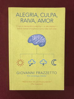 Livro - Alegria, Culpa, Raiva, Amor - Agir - Seminovo