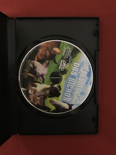 DVD - A Revolução Dos Bichos - Dir: John Stephenson - Semin na internet
