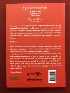 Livro - Como Encontrei Lama Marco Polo Na Itália - Editora Gaia - Seminovo - comprar online