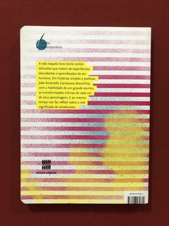 Livro - A Vida Naquela Hora - João Anzanello Carrascoza - Editora Scipione - comprar online