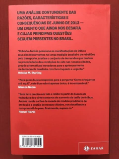 Livro - A Razão Dos Centavos - Roberto Andrés - Editora Zahar - Seminovo - comprar online