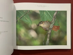 Livro - Aves Da Mata Atlântica - Fotos: Edson Endrigo - Bilíngue - Capa Dura - Sebo Mosaico - Livros, DVD's, CD's, LP's, Gibis e HQ's