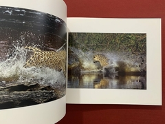 Livro - Jaguaretê - Araquém Alcântara - Editora Terrabrasil - Seminovo - loja online