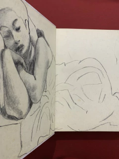 Livro - Desenhos De Di Cavalcanti Na Coleção Do MAC - Exemplar Nº 216/3000 - Sebo Mosaico - Livros, DVD's, CD's, LP's, Gibis e HQ's