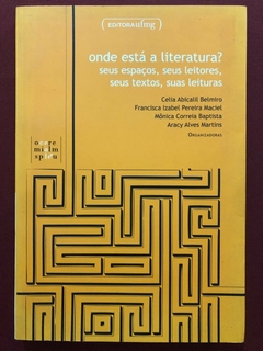 Livro - Onde Está A Literatura? - Celia Abicalil Belmiro - Ed. UFMG - Seminovo