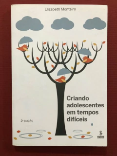Livro - Criando Adolescentes Em Tempos Difíceis - Elizabeth Monteiro - Summus - Seminovo
