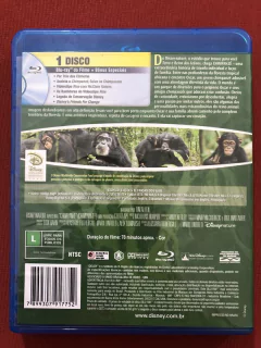 Blu-ray - Chimpanzé - Alastair Fothergill - Disney - Semin. - comprar online