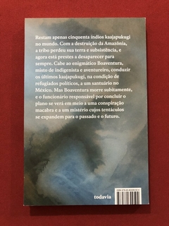 Livro - A Morte E O Meteoro - Joca Reiners Terron - Ed. Todavia - Seminovo - comprar online