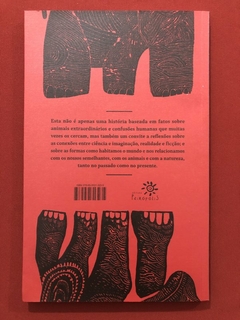 Livro - Hanno E Ganda - Tadeu Sarmento - Editora Peirópolis - Seminovo - comprar online