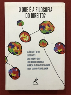 Livro - O Que É A Filosofia Do Direito? - Alaôr Caffé - Editora Manole