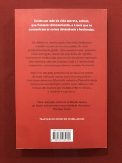 Livro - Era Uma Vez Uma Mulher Que Tentou Matar O Bebê Da Vizinha - L. Petruchévskaia - Seminovo - comprar online