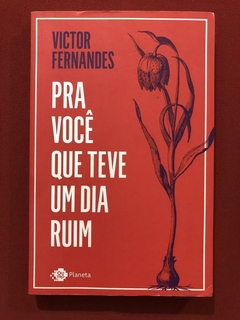 Livro - Pra Você Que Teve Um Dia Ruim - Victor Fernandes - Seminovo