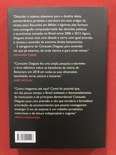 Livro - O Ovo Da Serpente - Consuelo Dieguez - Seminovo - comprar online