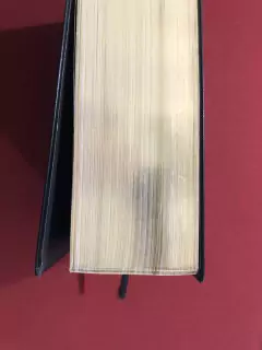 Livro - BKJ - Bíblia King James 1611 Com Estudo Holman - Seminovo - Sebo Mosaico - Livros, DVD's, CD's, LP's, Gibis e HQ's