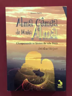 Livro - Alma Gêmea De Minha Alma - José Antonio S.- Seminovo