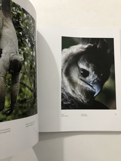 Livro - Cabeça Do Cachorro - Araquém Alcântara/D. Varella