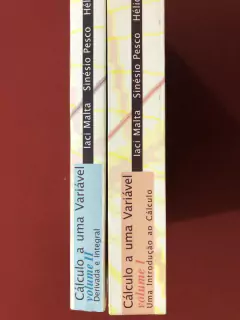 Livro - Cálculo A Uma Variável - 2 Volumes - Iaci Malta - Loyola na internet