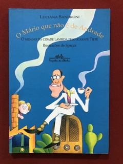 Livro - O Mário Que Não É De Andrade - Luciana Sandroni - Seminovo