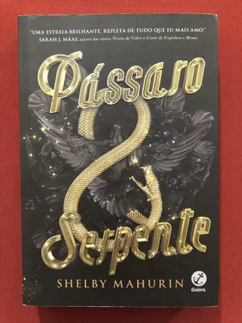 Livro - Pássaro Serpente - Shelby Mahurin - Galera - Seminovo