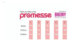 TOP C/RELLENO Y BOMBACHA ALTA (8295P) - comprar online