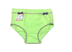 BOMBACHA CLASICA AYL LISA (349)