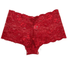 CULOTTE ENCAJE (701) en internet