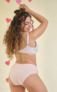 ESPECIAL ALGODON Y PINTULLA CLASICA NAVIDAD (3996) - comprar online