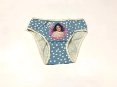 CULOTTE VIOLETA (815-008)