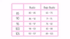 TRIANGULO LYCRA Y ENCAJE (23632) - comprar online