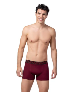 BOXER CINTURA EXPUESTA ALGODON LISO (12052) en internet