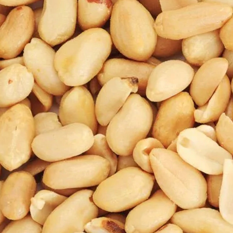 Mani Tostado sin sal Envase 100gr