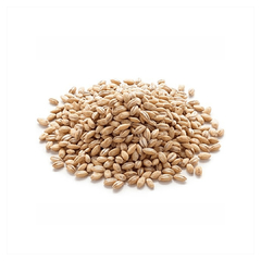 Cebada Perlada en Bolsa de 500gr