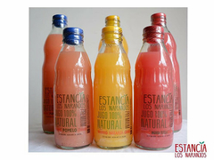 ESTANCIA LOS NARANJOS JUGO BOTELLA DE VIDRIO 500ml