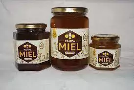 PAMPA MIEL FRASCO DE VIDRIO