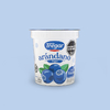 TREGAR YOGURT ENTERO NATURAL 160GR SIN TACC