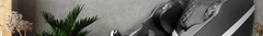 Banner de la categoría Multicorporal