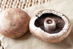 PORTOBELLO PARRILLERO POR 1 KG