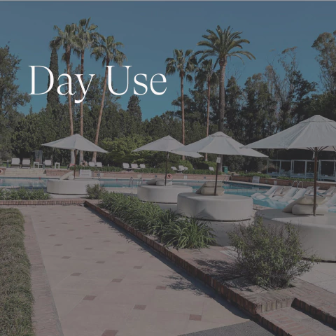 Day use | Días de Semana - comprar online