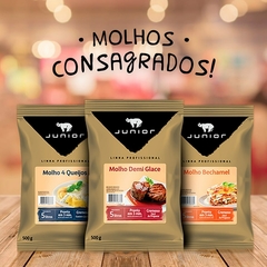 Molho Bechamel Junior Preparo em Pó 500g Linha Profissional - comprar online