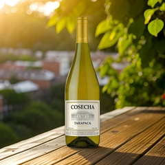 Vinho Tarapacá Linha Cosecha Chileno Tinto Branco 750ml - comprar online
