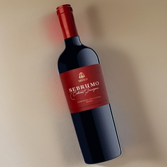 Vinho Miolo Sebrumo Cabernet Sauvignon Tinto Garrafa 750ml - comprar online