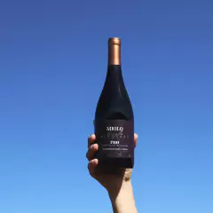 Vinho Miolo Linha Single Vineyard Tinto Branco Garrafa 750ml na internet