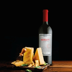 Vinho Miolo Merlot Terroir Tinto Vale dos Vinhedos DO 750ml - comprar online