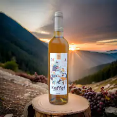 Imagem do Hidromel Skadi Kaffe Bebida Mista Suave com Café 500ml