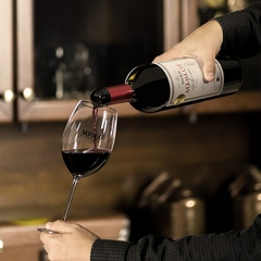 Vinho Miolo Merlot Terroir Tinto Vale dos Vinhedos DO 750ml - loja online