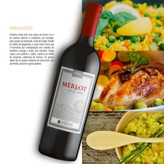 Vinho Miolo Merlot Terroir Tinto Vale dos Vinhedos DO 750ml - Newness Bebidas